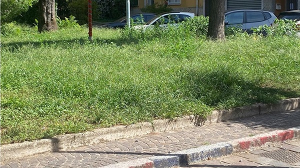 rescaldina verde manutenzione erbacce