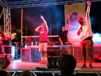 fermo jungle business egreen 01