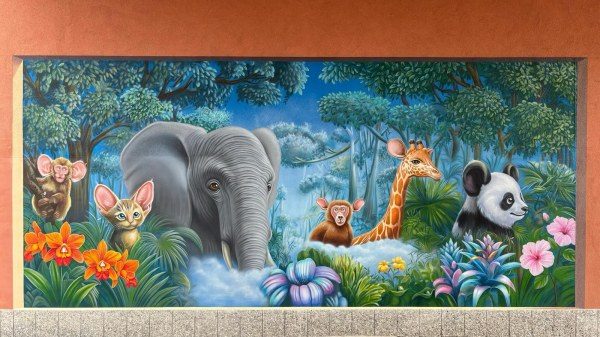 foresta animali ospedale varese