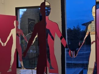 mani disabili solidarietà inclusione fragilità