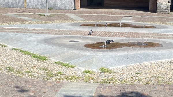 rescaldina verde manutenzione piazza