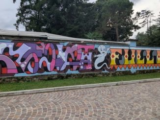 ponte tresa street art