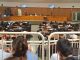 processo hydra aula