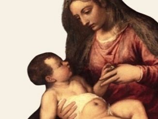 saronno mostra femminile borroni 02