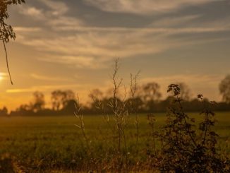sole nuvola temperatura gradi