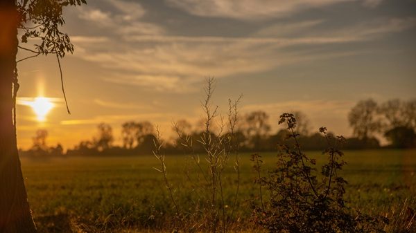 sole nuvola temperatura gradi