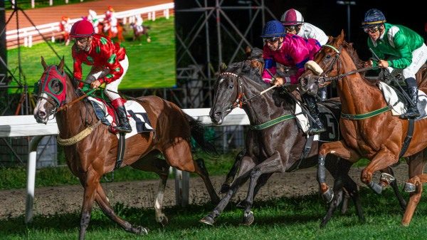 stagione ippodromo varese scuderie