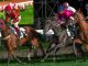 stagione ippodromo varese scuderie