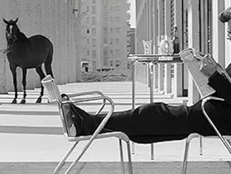 varese cinema fellini animali