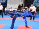 rescaldina kickboxing campionato wako leonardo zamberlan