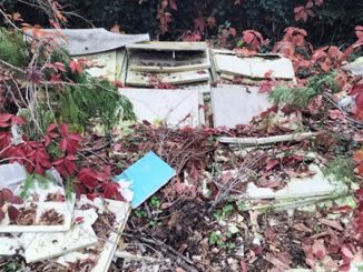 nerviano lega degrado cimitero