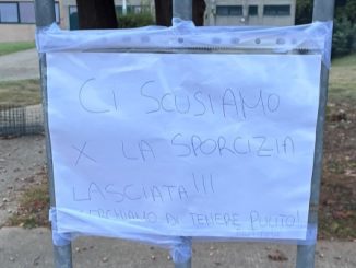 Cardano rifiuti Carreggia ripulita
