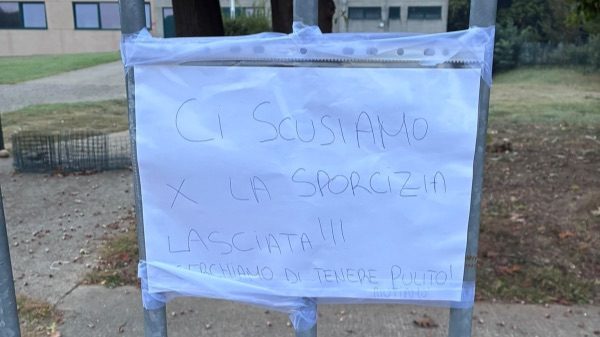 Cardano rifiuti Carreggia ripulita