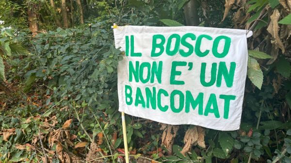 Casorate Pgt bosco brughiera