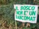 Casorate Pgt bosco brughiera