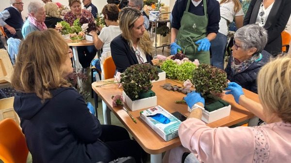 Gallarate Ospedale fiori blooms