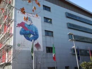 Gallarate morto bambino investito