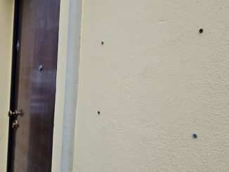 Gallarate sede Giuseppe martignoni