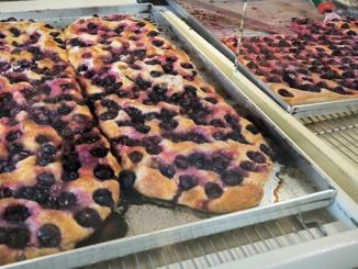 Busto figasciò focaccia dolce