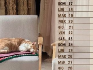 Lonate cat village calendario