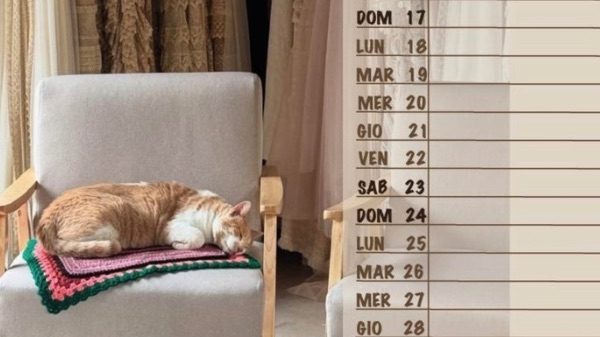 Lonate cat village calendario