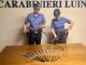 Luino violenze aggressioni arresto