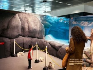 Malpensa fotografia mostra habitat