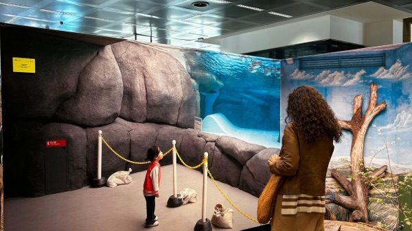 Malpensa fotografia mostra habitat