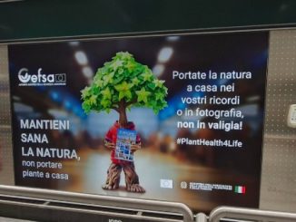 Malpensa plant health campagna