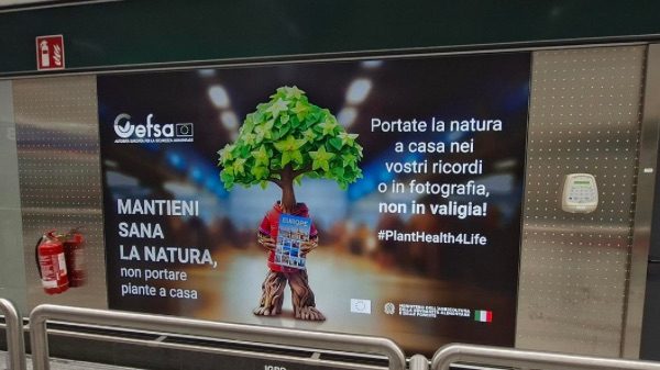 Malpensa plant health campagna