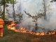 Parco Ticino incendi boschi