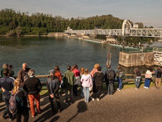 Progetto vista Ticino fiume