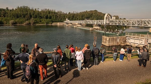 Progetto vista Ticino fiume
