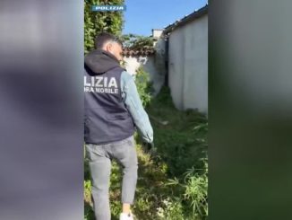 Carpignano arresto droga Polizia