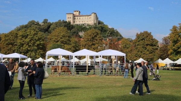 agrivarese presenze lungolago angera