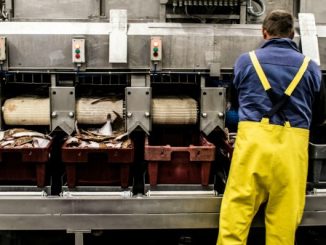 besano fiera lavoro valceresio