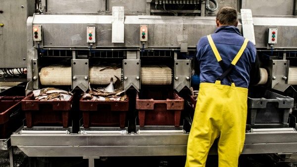 besano fiera lavoro valceresio