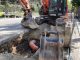 casciago lavori alfa lago