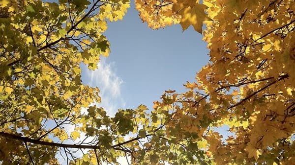 nuvole sole inizio settimana