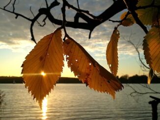 nuvoloso sole weekend miglioramento