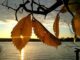 nuvoloso sole weekend miglioramento