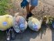 plogging