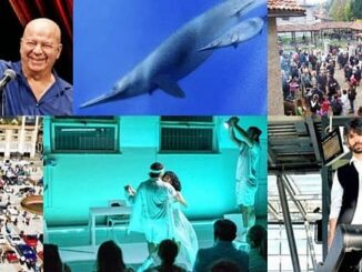 varese provincia appuntamenti weekend 06