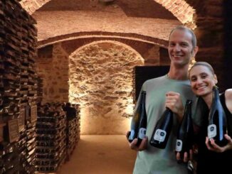 vino valceresio ca dell'orsa