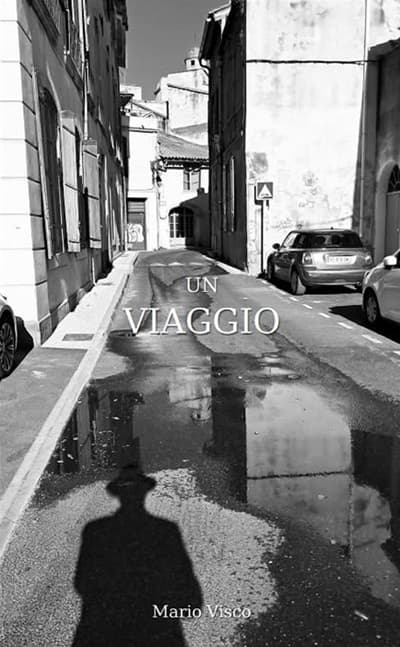 visco tour libro premio 02