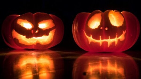 zucche halloween